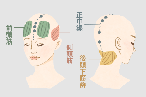 スカルプファイン 浴び方レシピ